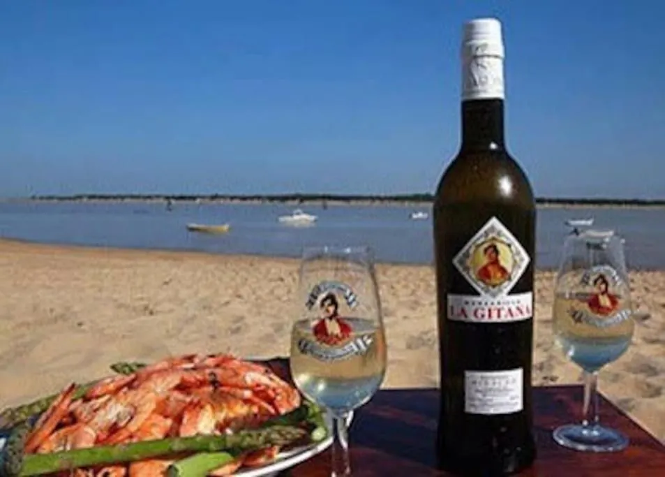 Galia Costa Ballena 0*,  Spain