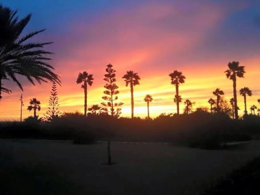 Galia Costa Ballena Spain