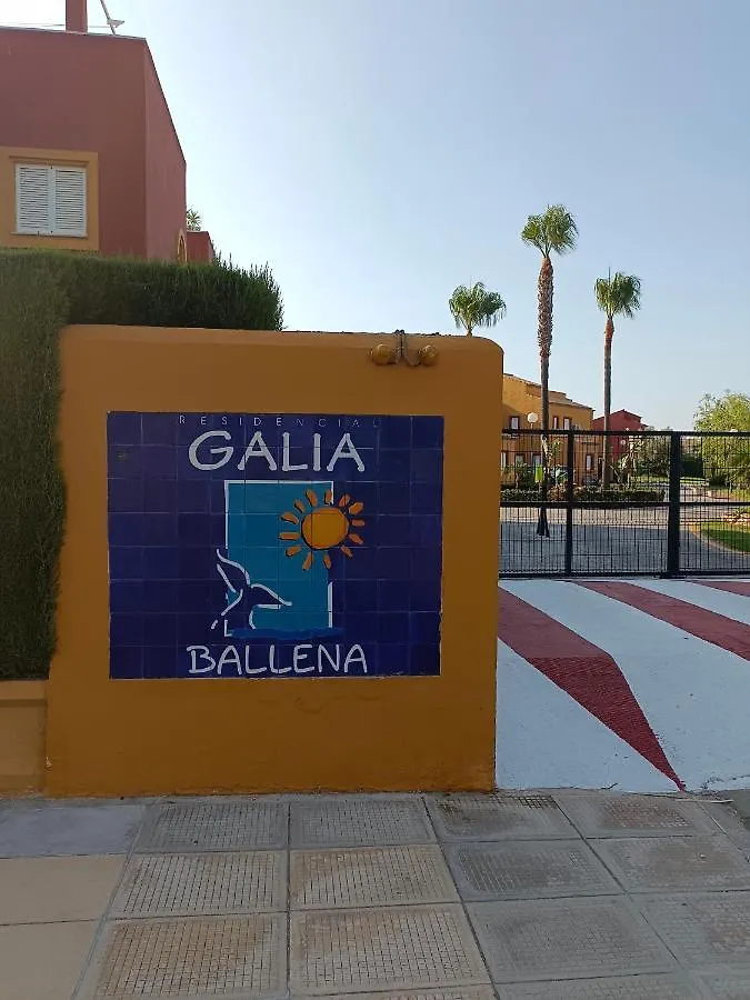Apartment Galia Costa Ballena