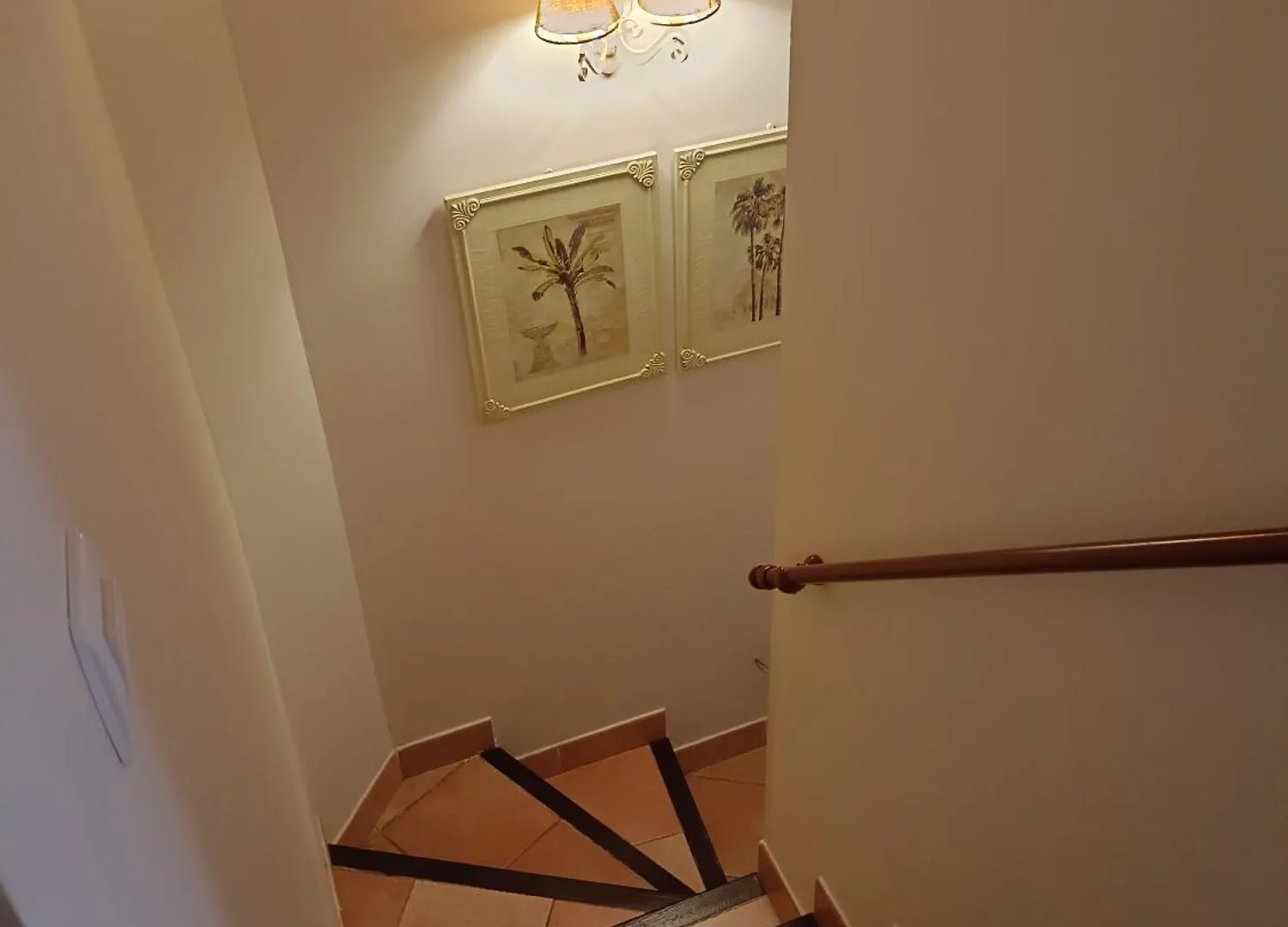 Apartment Galia Costa Ballena Spain